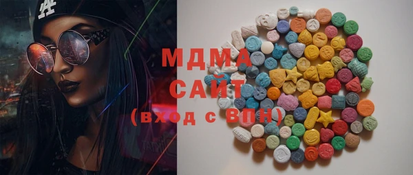 гашик Алексин