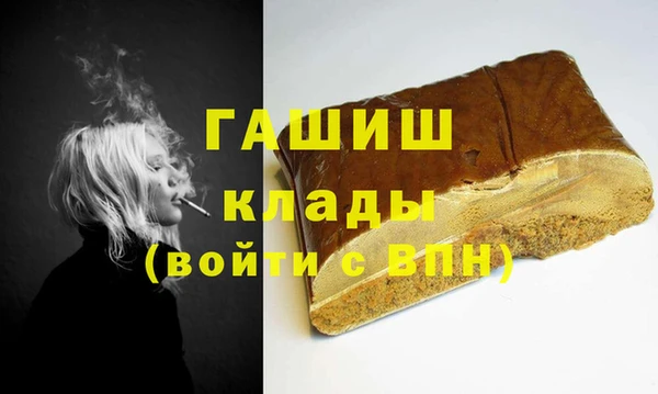 гашик Алексин