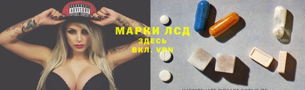 гашик Алексин