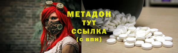 гашик Алексин