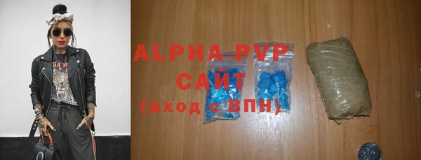 гашик Алексин