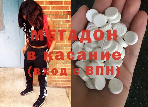 гашик Алексин