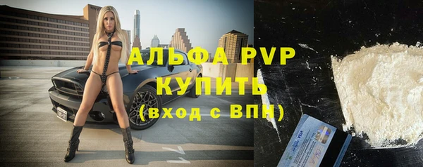 гашик Алексин