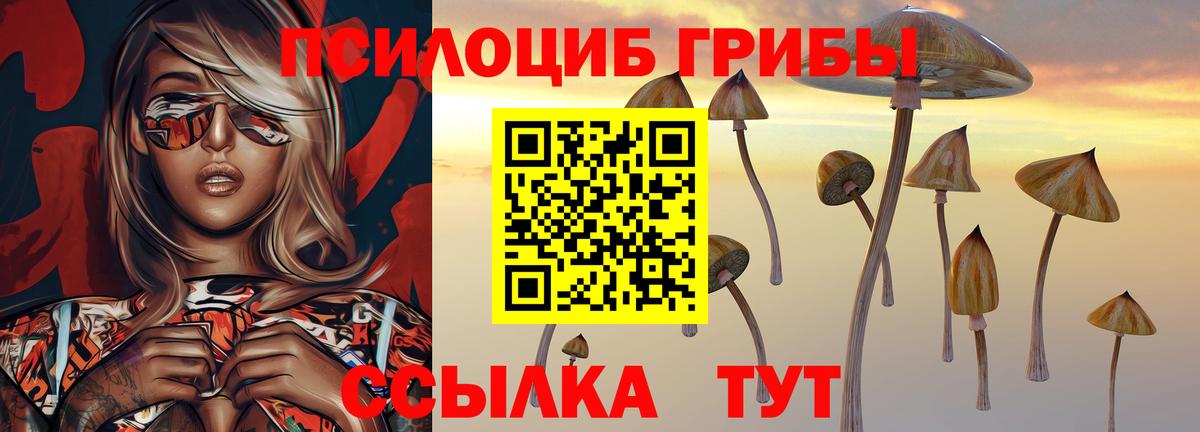 Лабинск  Галлюциногенные грибы Cubensis  Вход с VPN  купить наркоту  Галлюциногенные грибы Psilocybe 